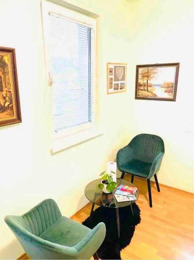 Karlsrooms Wenen Oostenrijk